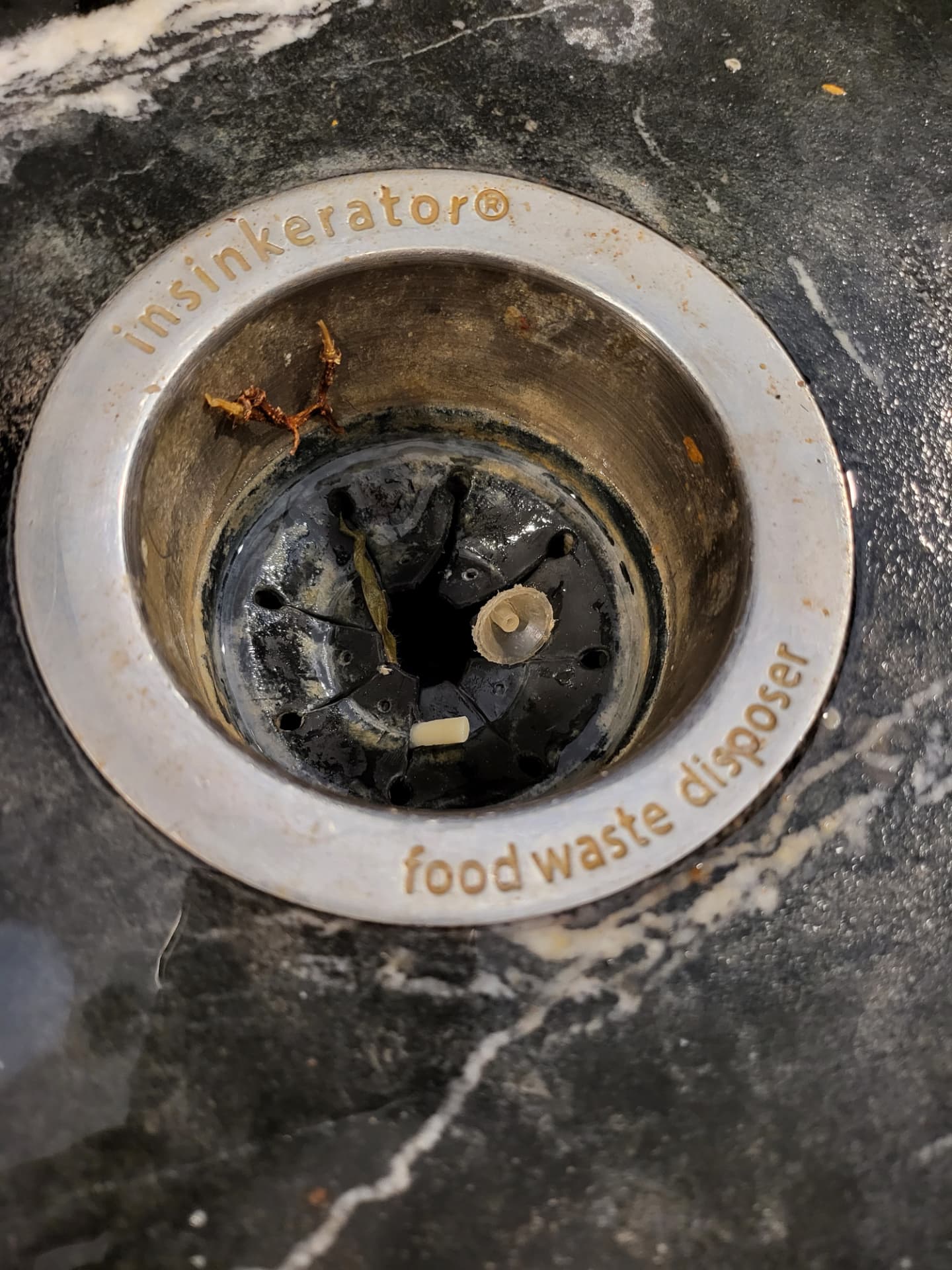 Sink garbage disposal before and after cleaning — before